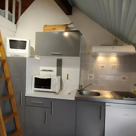 Pour 4 Personnes Au Centre De Cauterets, Proche Telecabines Et Thermes - Fr-1-234-269 * Cauterets